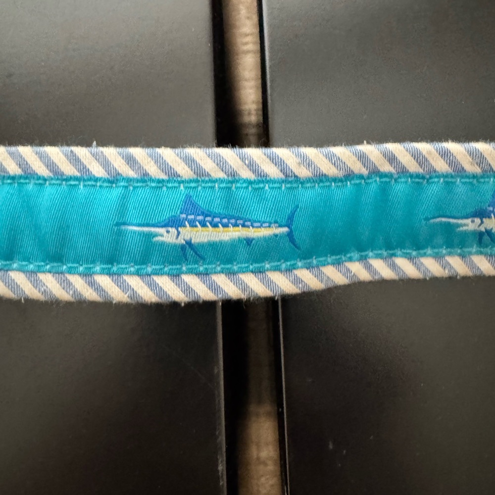 Kids Blue Fish Pattern Belt